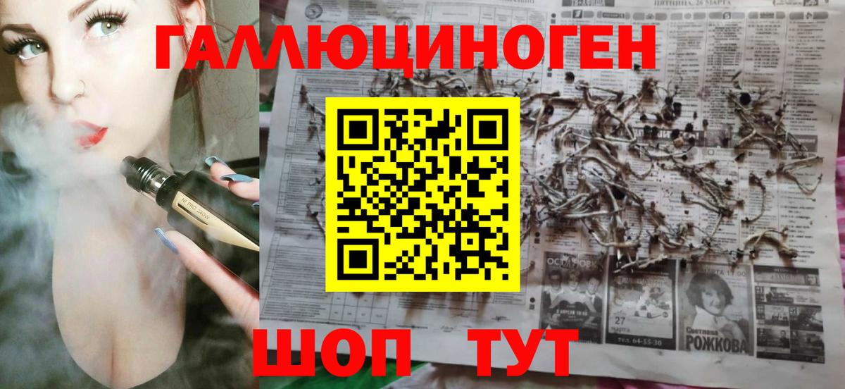 Галлюциногенные грибы мицелий Сосновый Бор